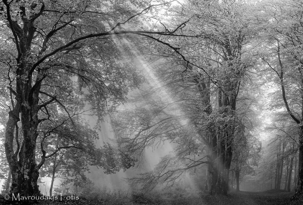 Embracing A World of Gray